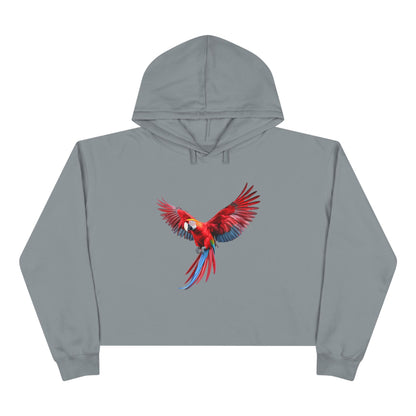 Crop Hoodie — Red Macaw Graphic Cropped Hoodie