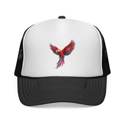 Gorra de Guacamaya